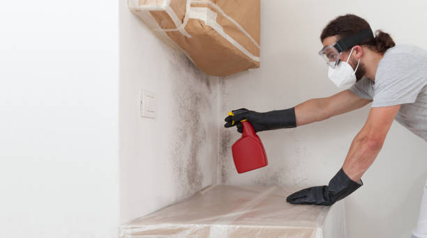 Professional Mold Inspection And Testing technician working in Miller Place, NY